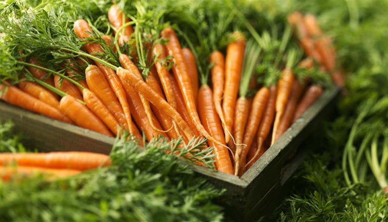 Le carote sono piacevoli da gustare e fanno molto bene alla salute